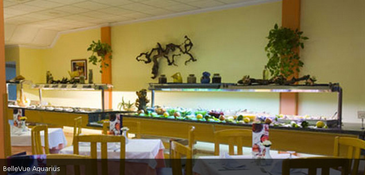 Apartamento Bellevue Aquarius *