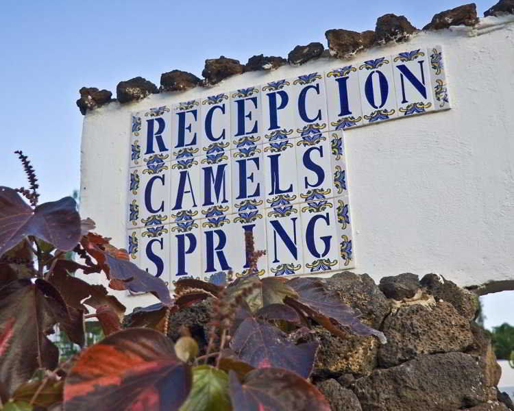 Camel's Spring Club *