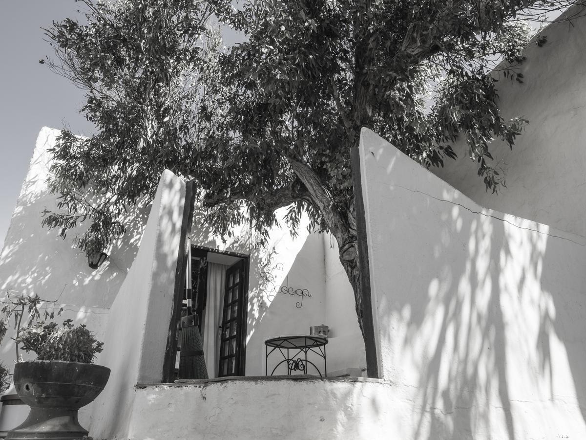 Rural La Bodega Con Piscina Privada Y Wifi Gratis *