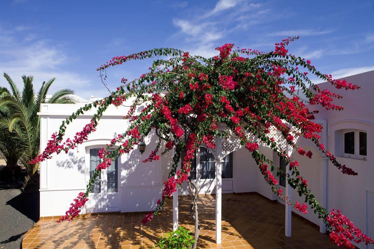 Aparthotel Livvo Coloradamar Playa Blanca (Lanzarote)