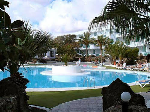 Ficus * Costa Teguise