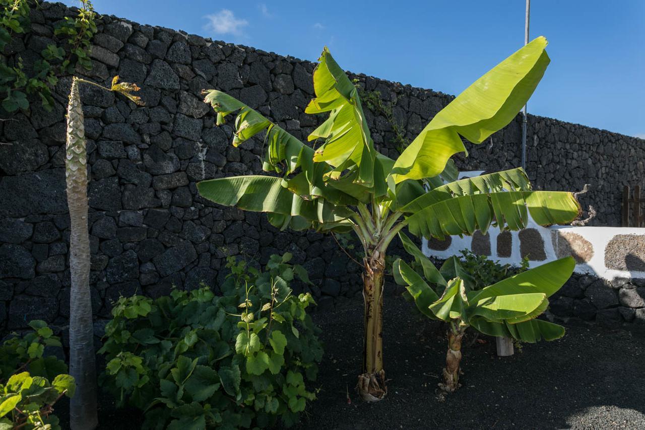 El Jable Lanzarote Bed and breakfast