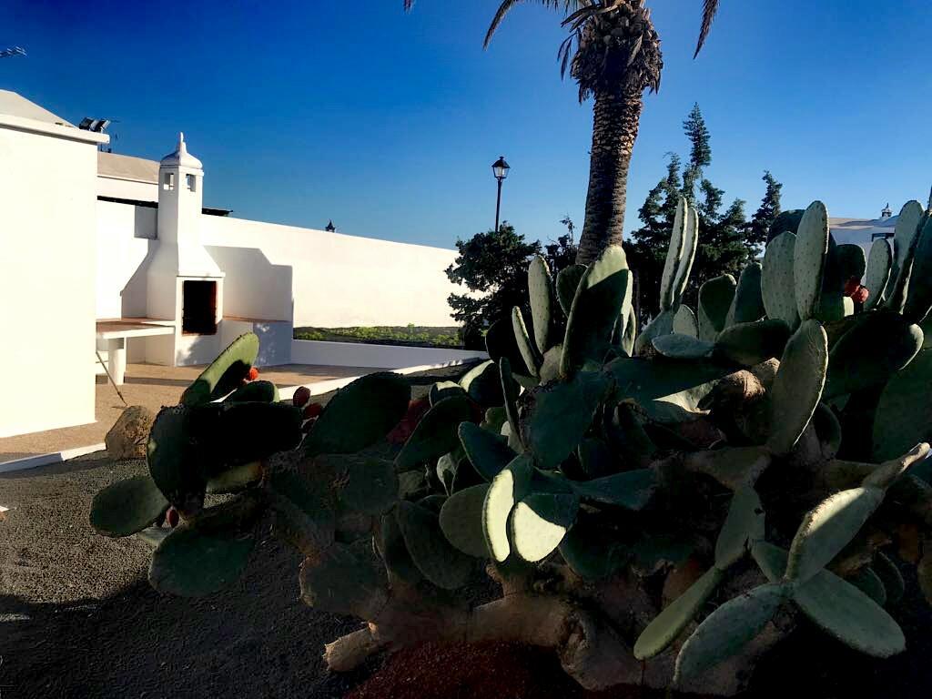 Atalaya * Teguise (Lanzarote)