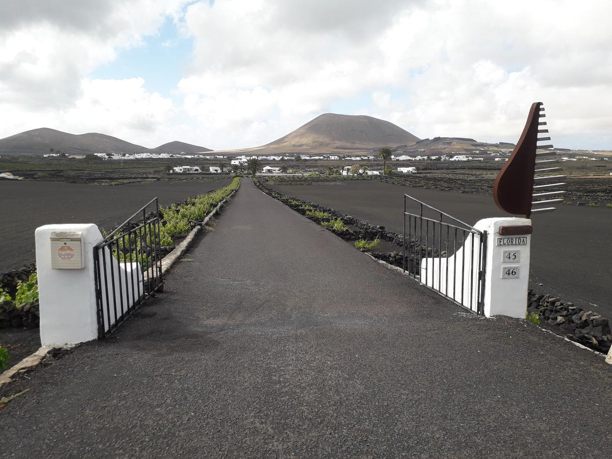 Apartment Ecofinca La Buganvilla (adults Only) San Bartolome (Las Palmas)