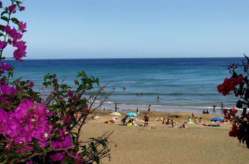 Apartment Playamar