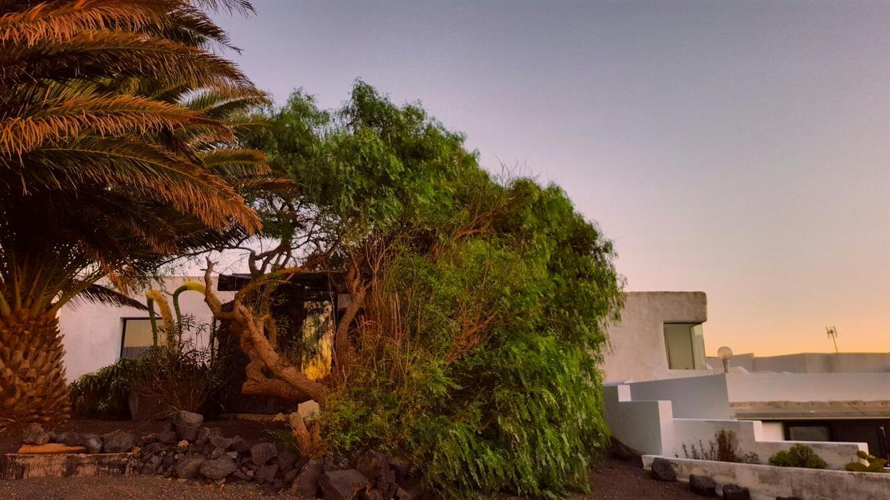 La Mimosa Teguise (Lanzarote)