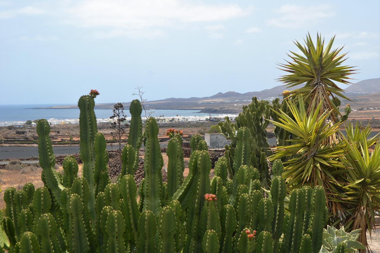 Casita Verde *
