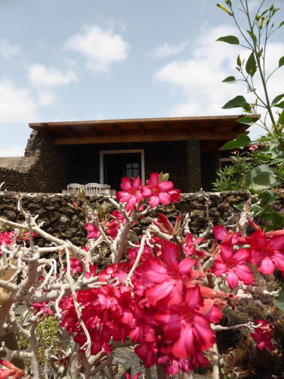Holiday home Casita Verde Arrieta (Lanzarote)