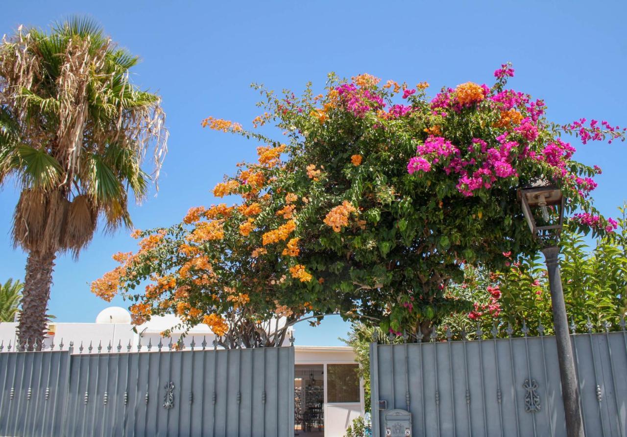 Oliveira By Buenavilla Puerto del Carmen (Lanzarote)