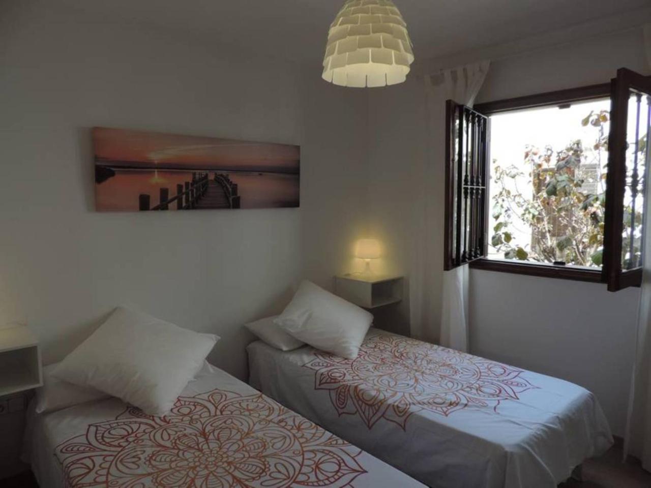 Blue Turtle Apartment, Next To The Apartment