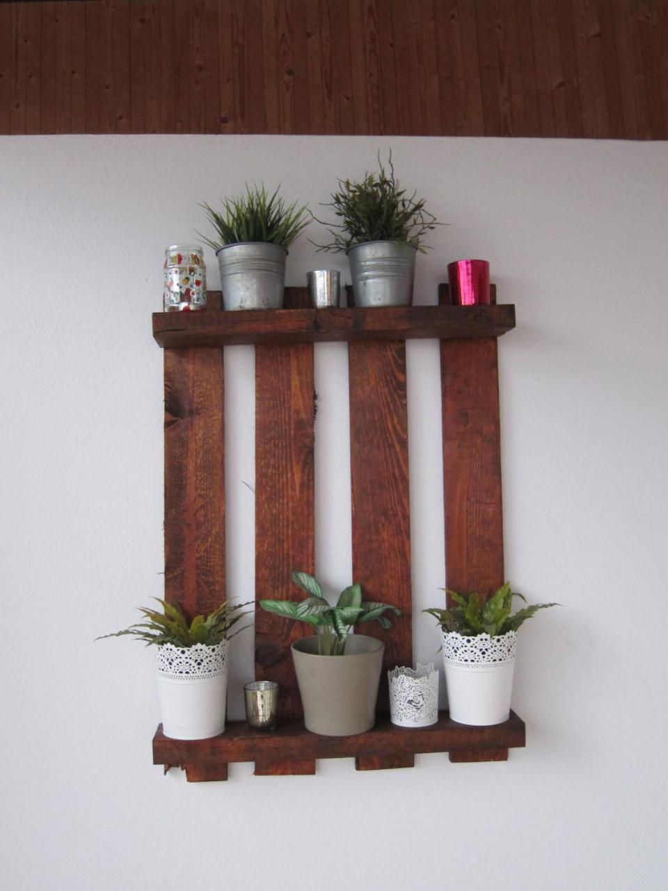 Cactus & Aloe