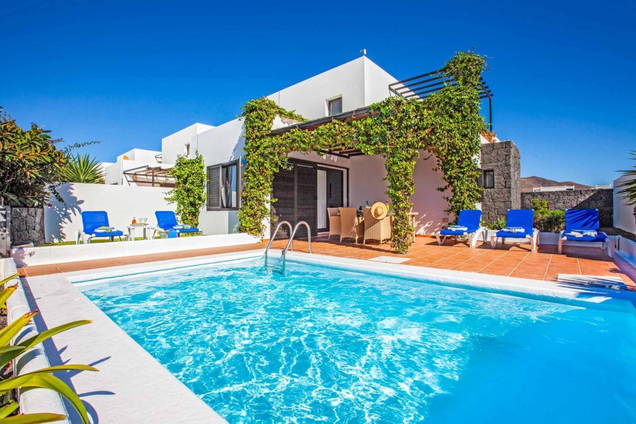 Cisne Yaiza (Lanzarote)
