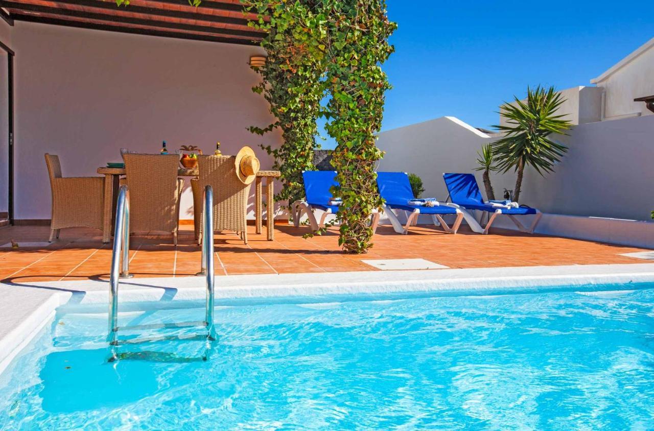 Cisne * Yaiza (Lanzarote)