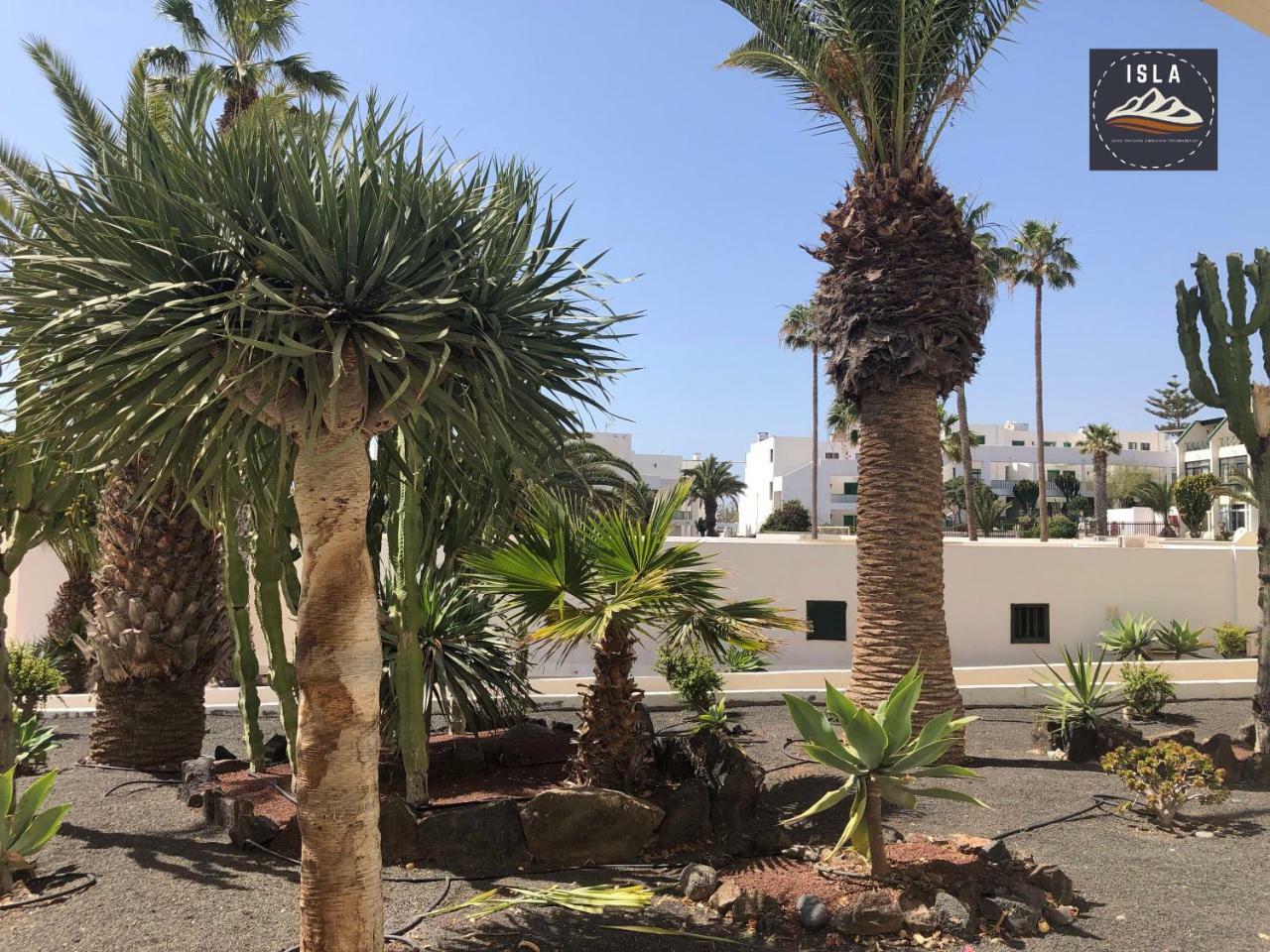 Suri Costa Teguise Apartamento