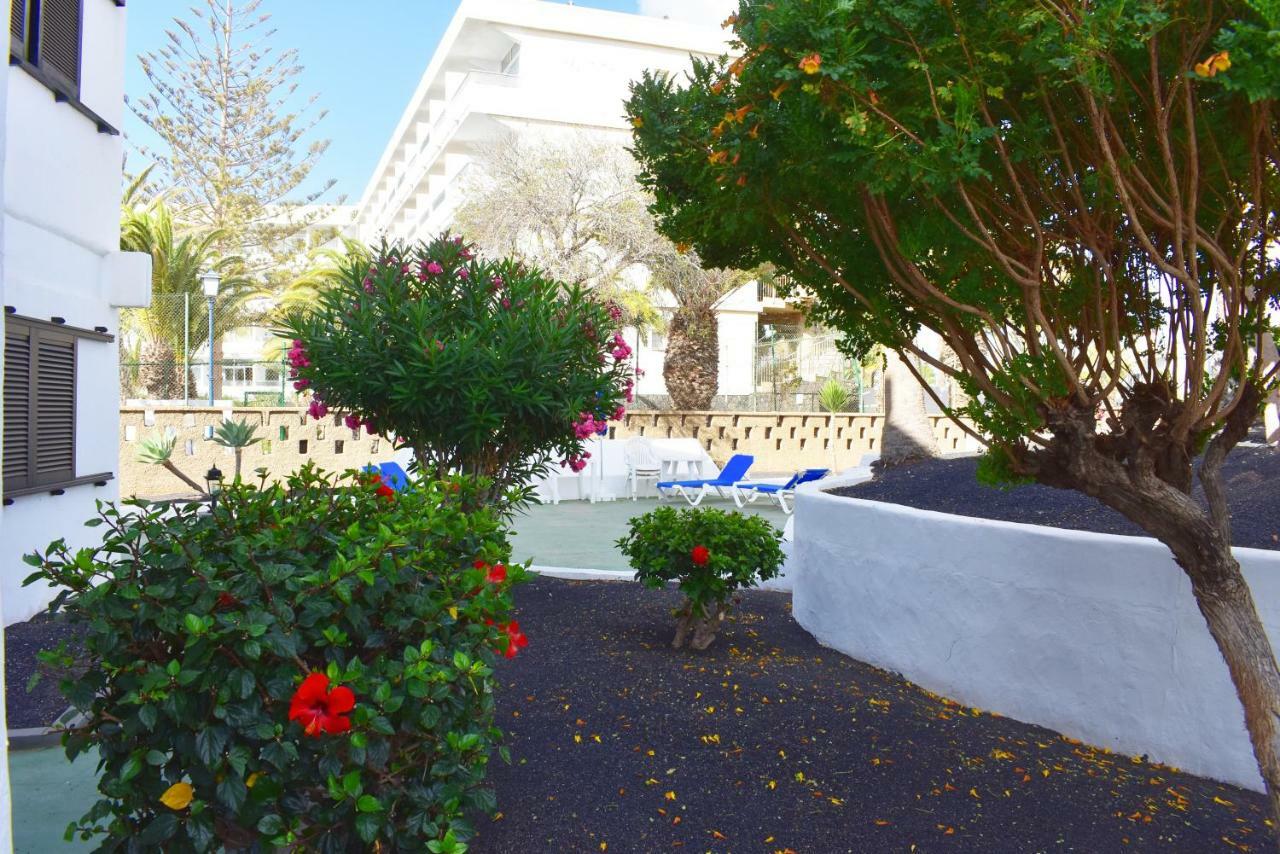 Apartamento Costa Luz 3.3 *