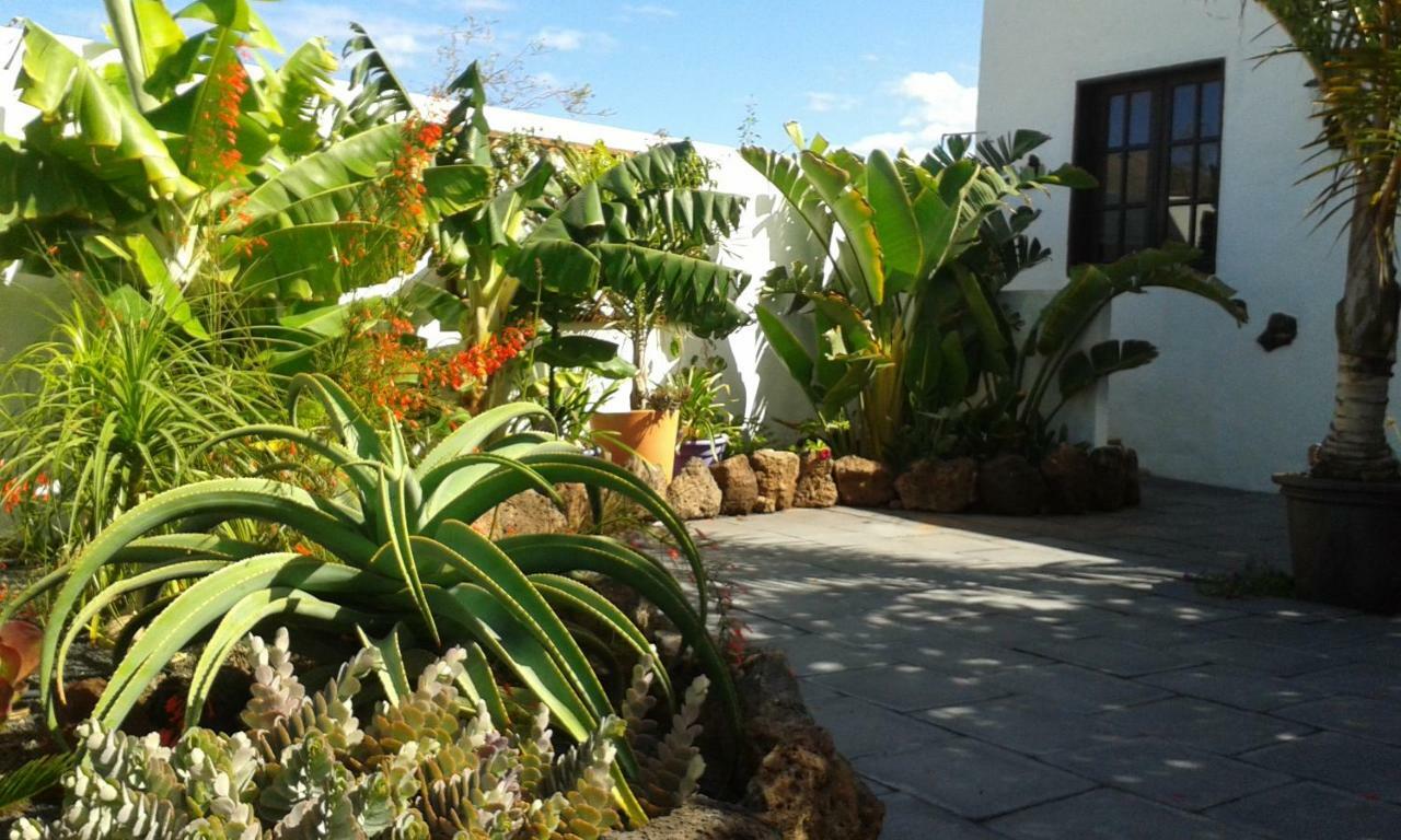 Botanico Garden * Guatiza