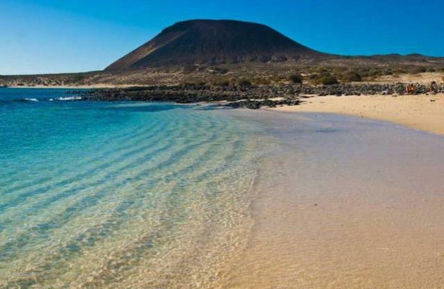 Canela 405 - Lanzarote Costa Teguise