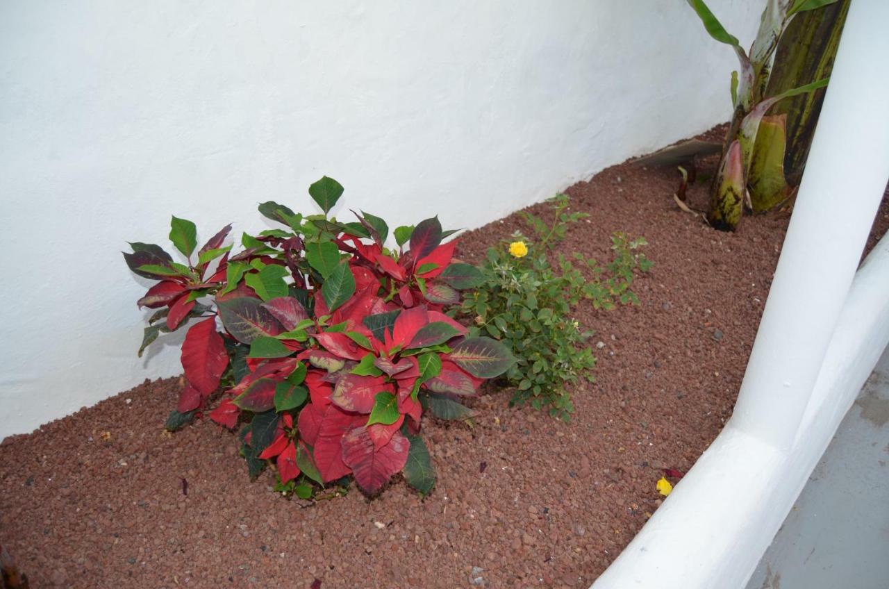 Casa Villalba Holiday home *
