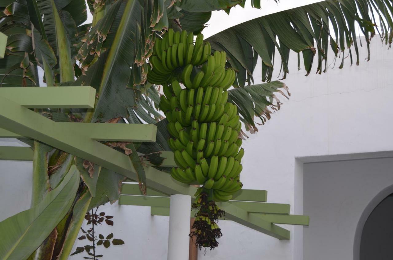 Casa Villalba Holiday home San Bartolome (Las Palmas)