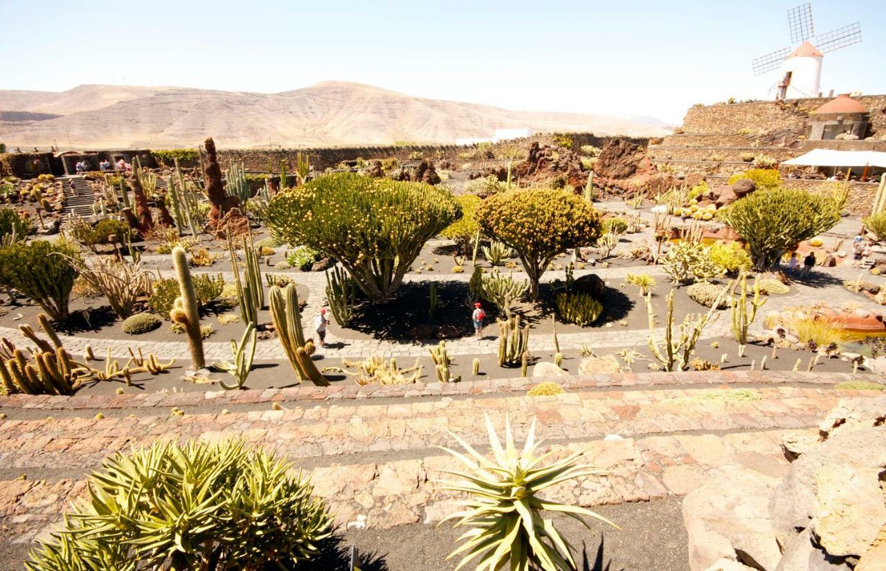 Casa Valle De Palmeras Holiday home Haria