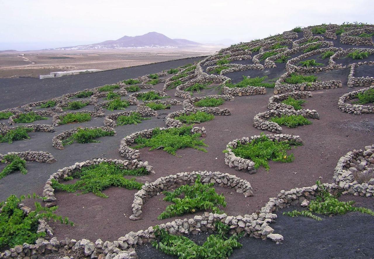 Casa El Gallo Country house Teguise (Lanzarote)