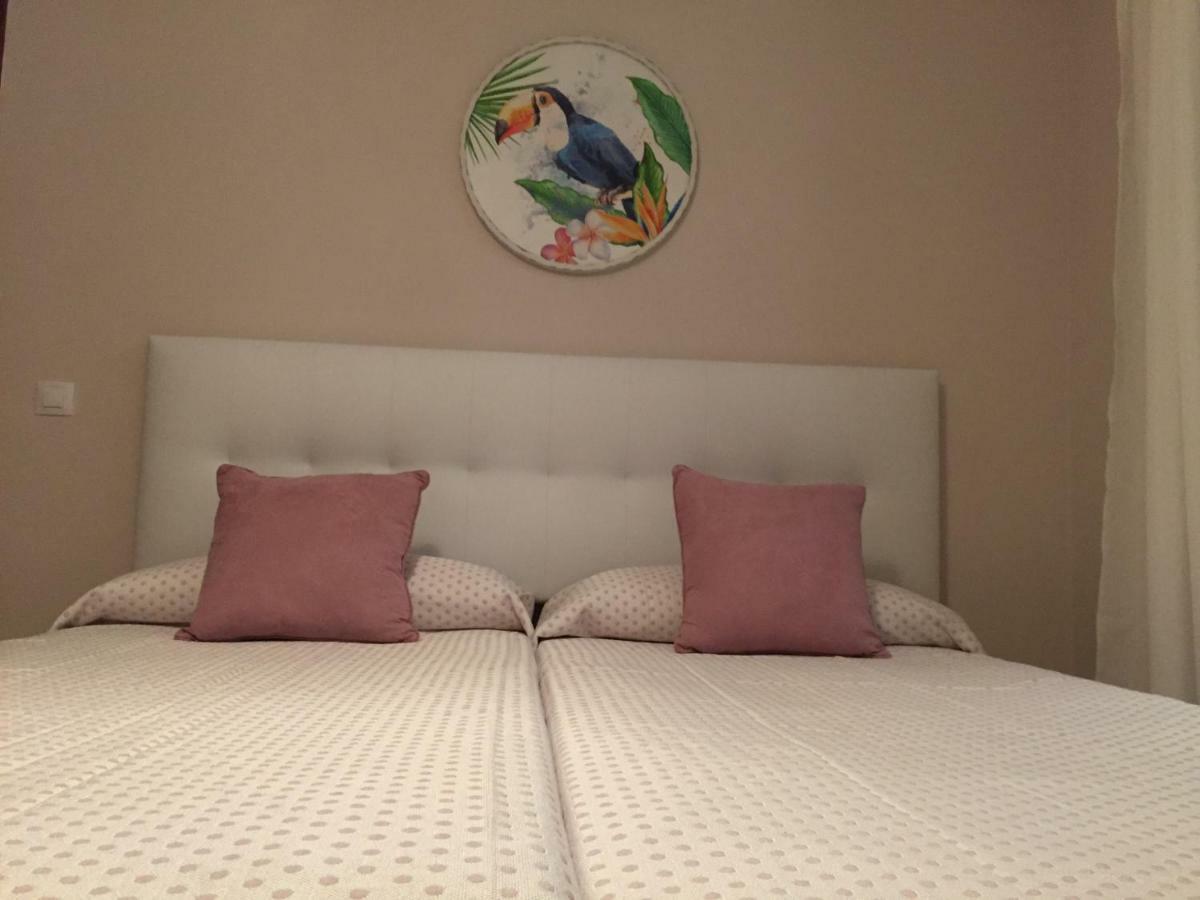 Javicenter Apartment Arrecife (Lanzarote)