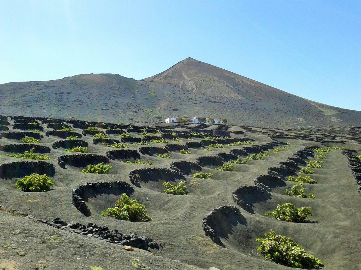 Alma Playa Blanca (Lanzarote)