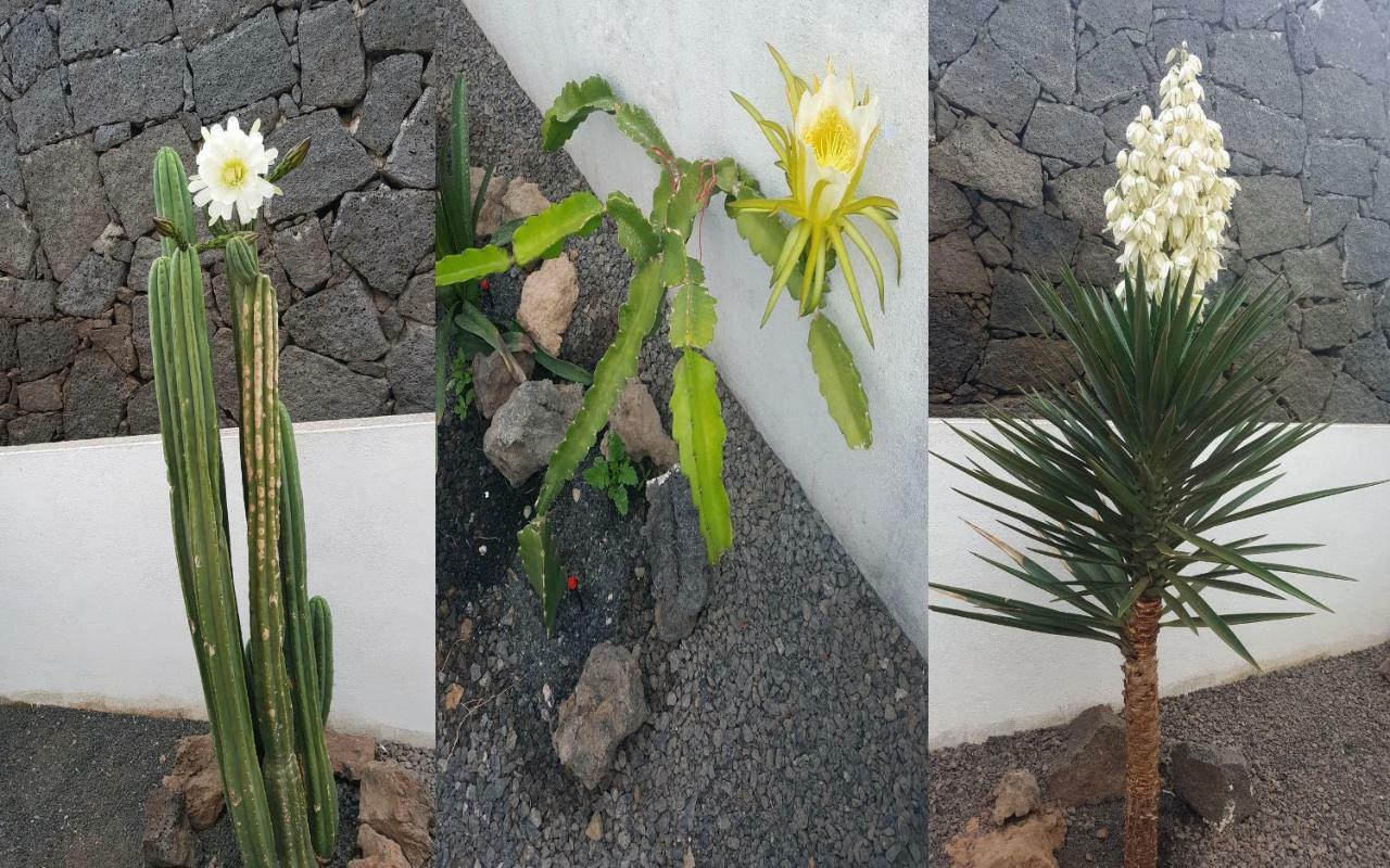 Villa Roja, Apartments; Quiet, Small&Central Resort; Reservado para clientes; Fiesta prohibidos *