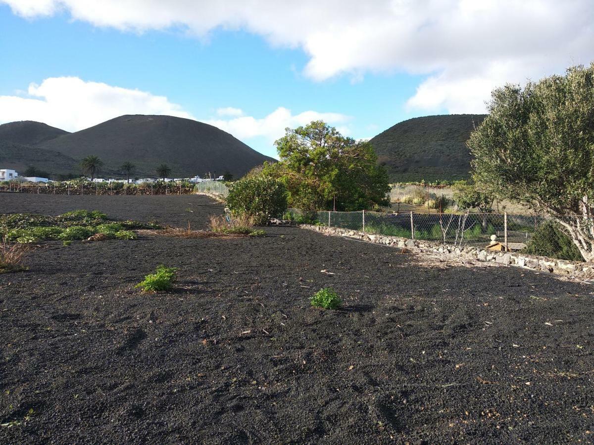 Finca La Tabaiba