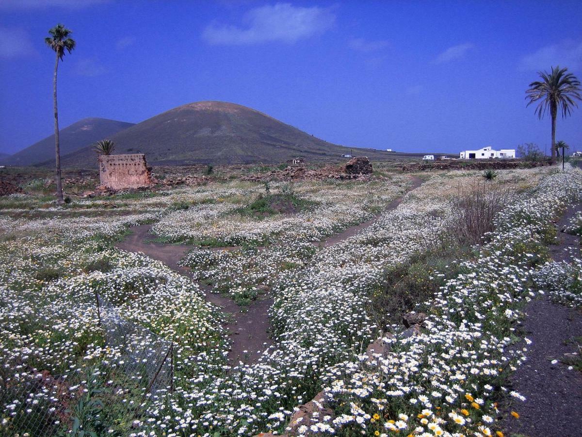 Holiday home Castillo Lanzarote Winni - Luxury - Pet Friendly With Heated Pool *