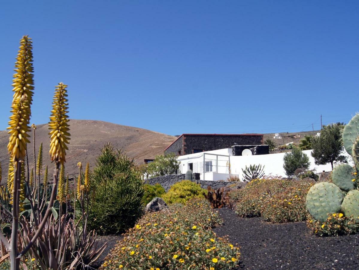 Holiday home Castillo Lanzarote Winni - Luxury - Pet Friendly With Heated Pool *