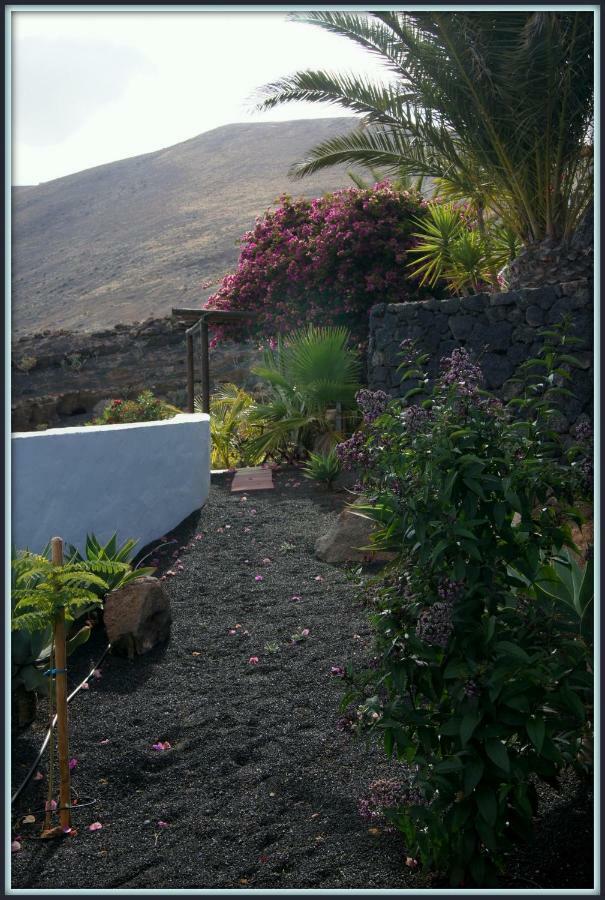 Holiday home Castillo Lanzarote Winni - Luxury - Pet Friendly With Heated Pool *