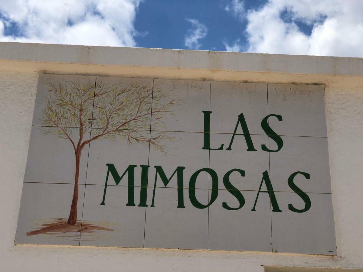 Mimosas C