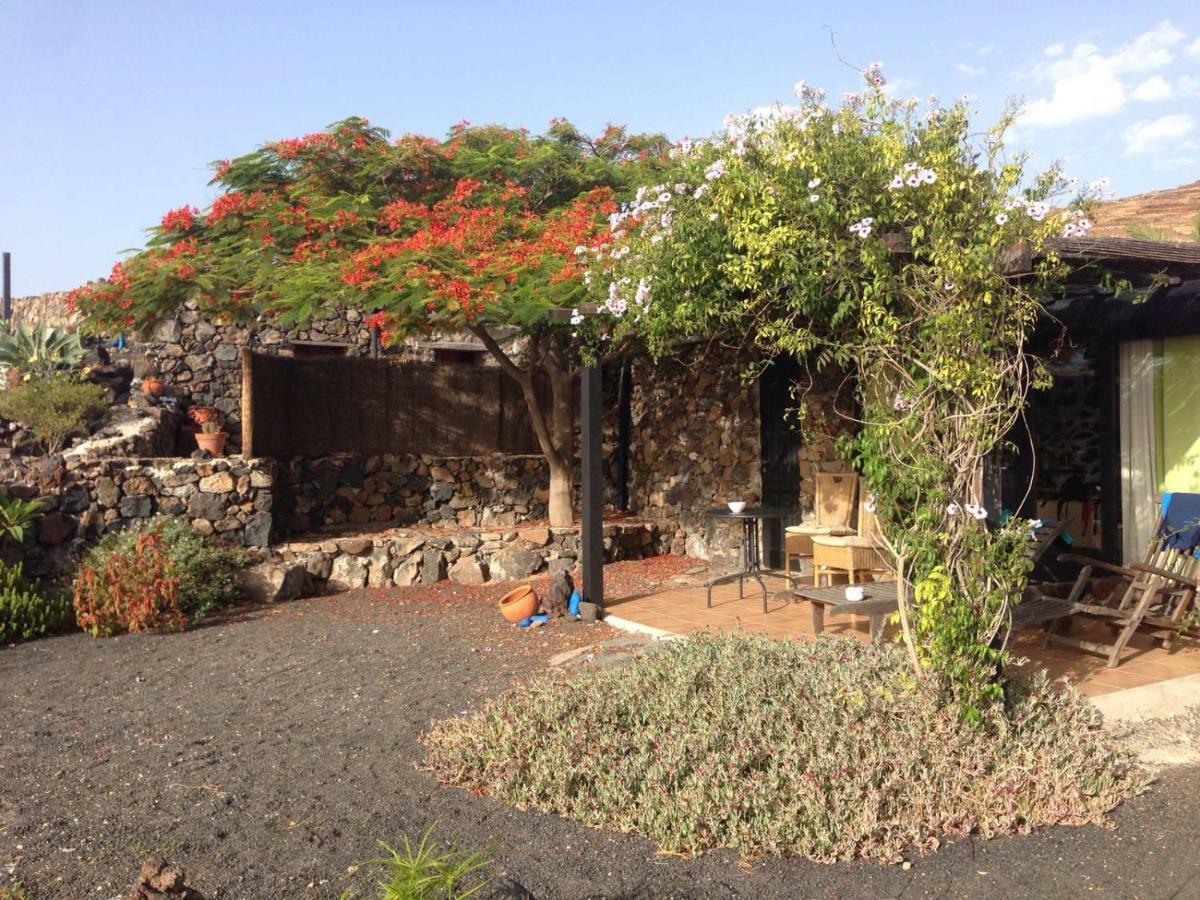 Apartment Apartamento Rural Oasis 2