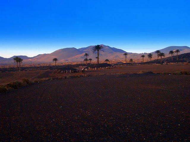 Calma, Ideal Familias Y Grupos Teguise (Lanzarote)