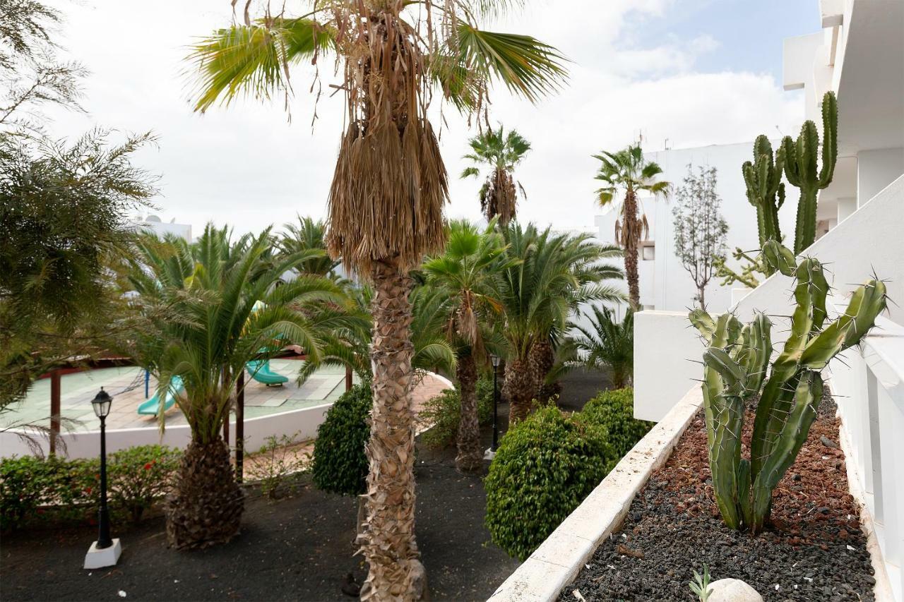 Daruma Costa Teguise