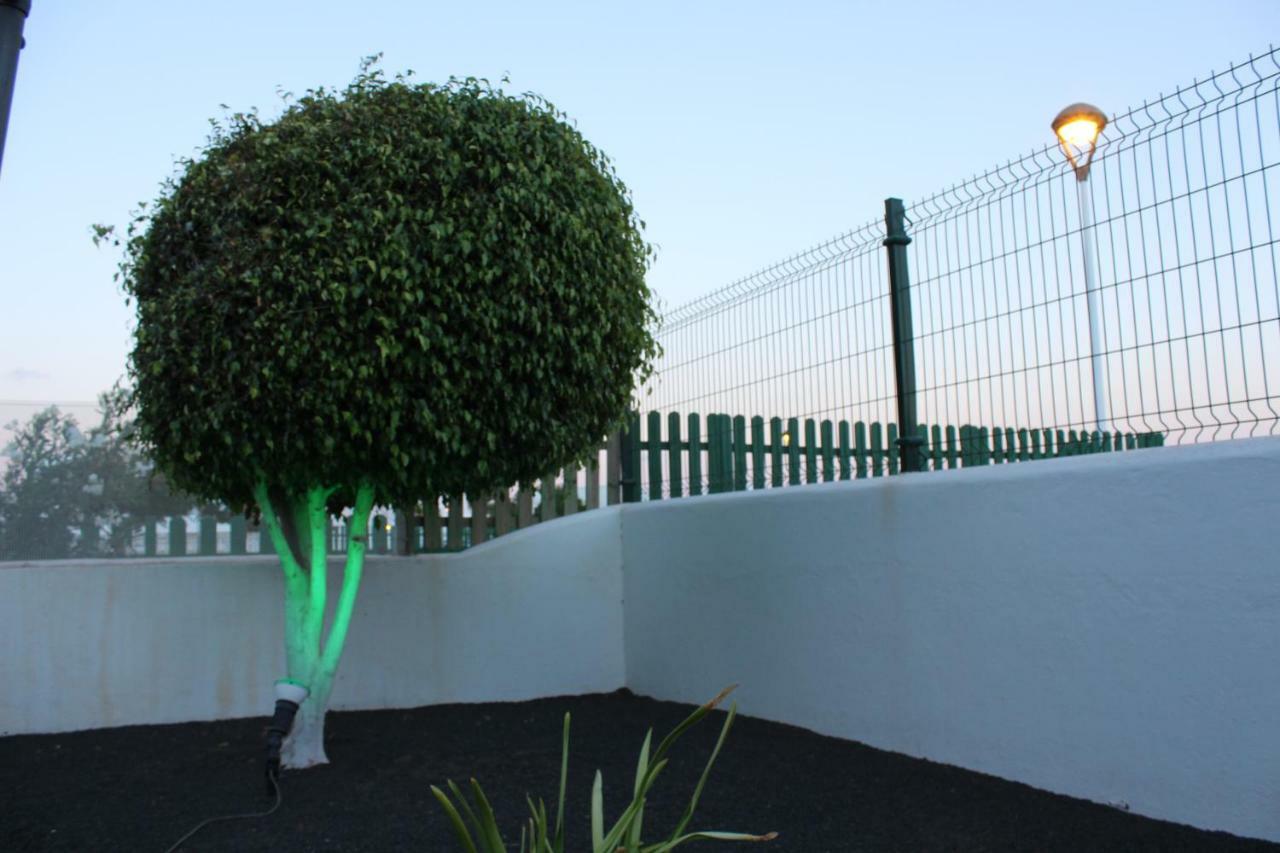 Mimosas Apartamento Puerto del Carmen (Lanzarote)