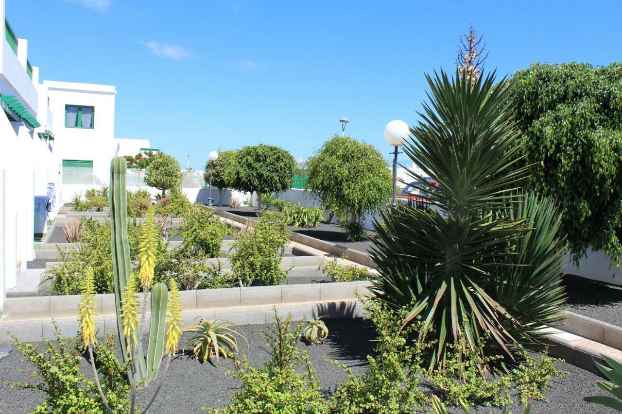Mimosas Puerto del Carmen (Lanzarote)