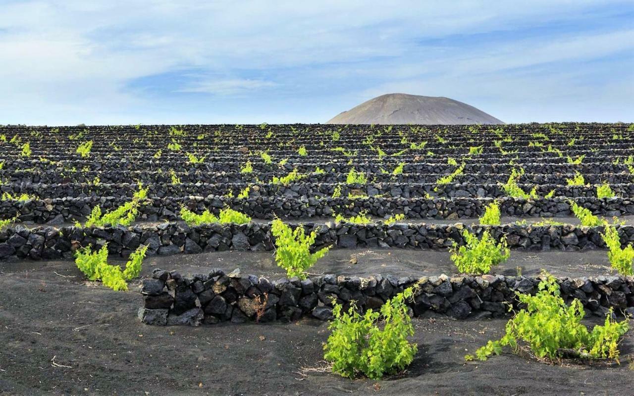 Villa Carmen Lanzarote *