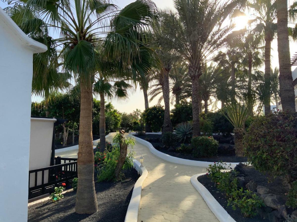 Oasis *