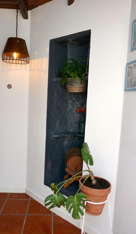 Casa Valle De Palmeras