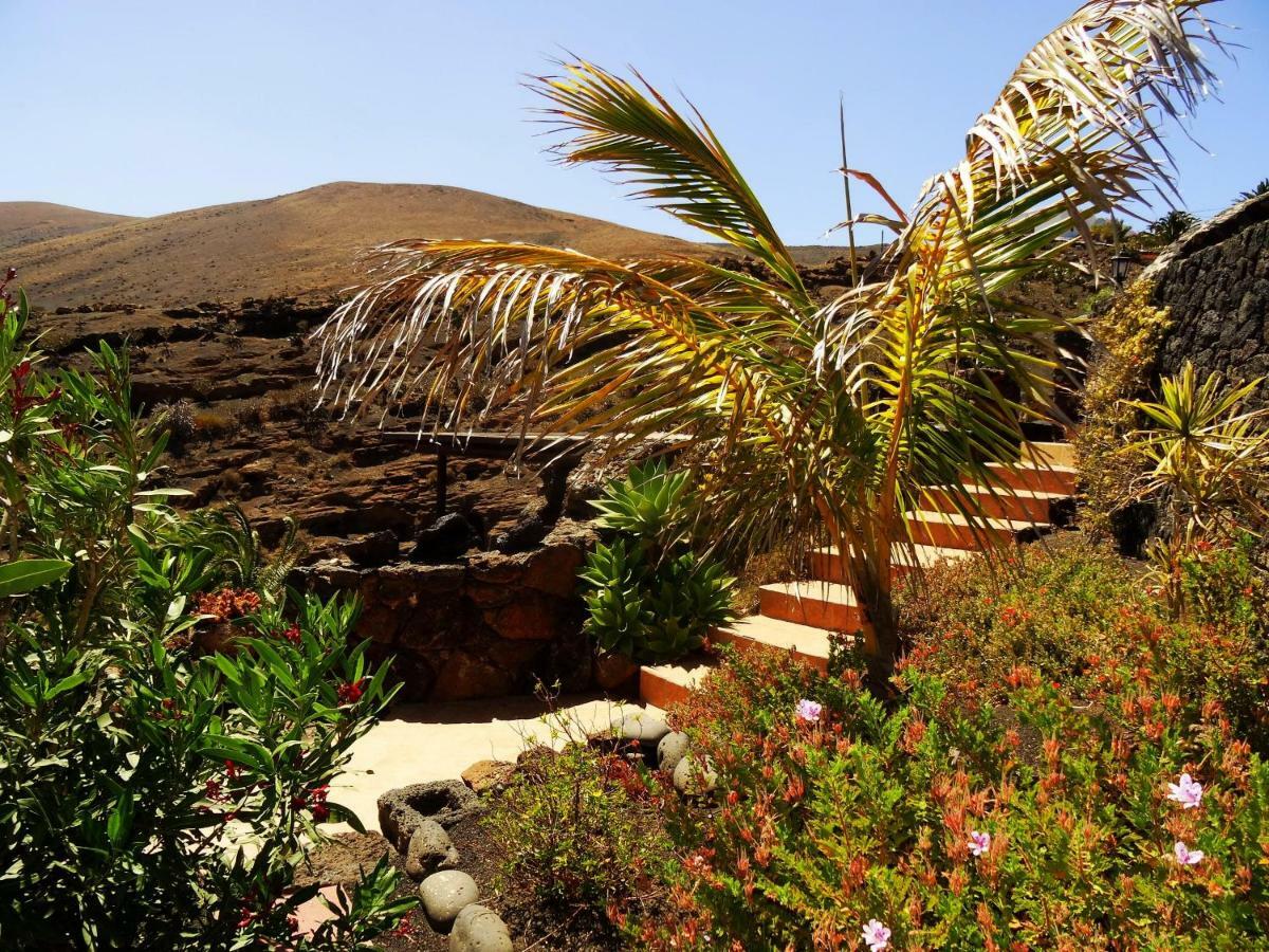 Holiday home Castillo Lanzarote Winni - Luxury - Pet Friendly With Heated Pool *