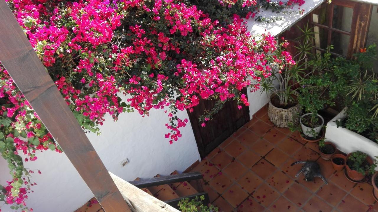 Apartamento La Sal De Maguez