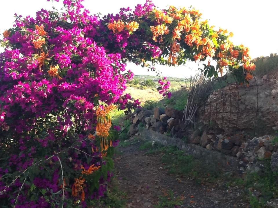 Apartamento Rural Oasis 2 Haria