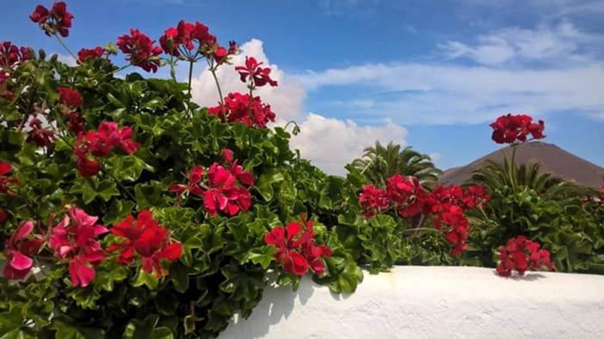 Apartamento House With 3 Bedrooms In El Golfo, Lanzarote, With Terrace And Wifi Near The *