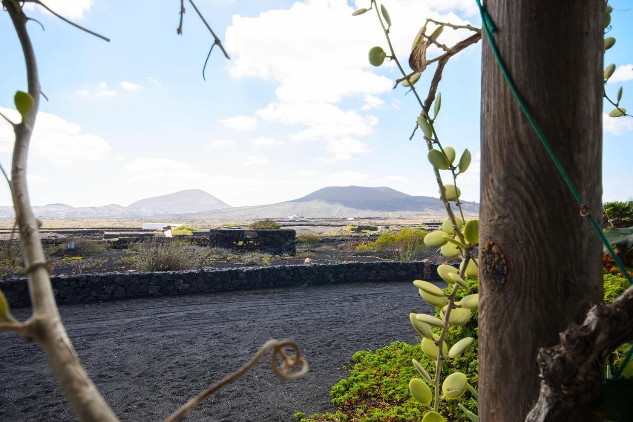 Villa Finca Tisalaya Entre Volcanes La Vegueta