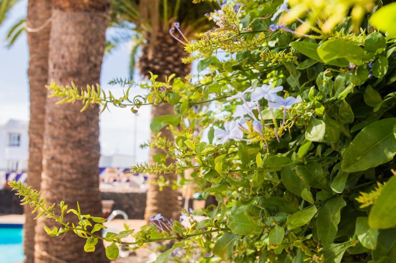 Aparthotel Tulipanes Puerto del Carmen (Lanzarote)