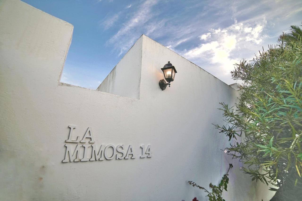La Mimosa * Teguise (Lanzarote)