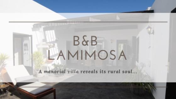 La Mimosa * Teguise (Lanzarote)