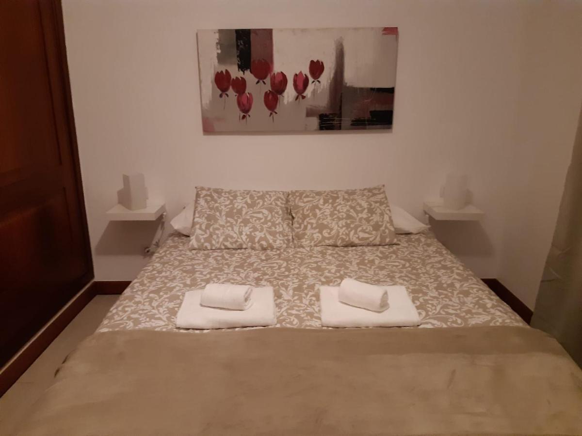 Arena Apartment